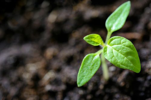 Sustainability Report